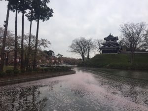 img_1812