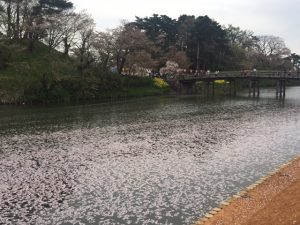 img_1813