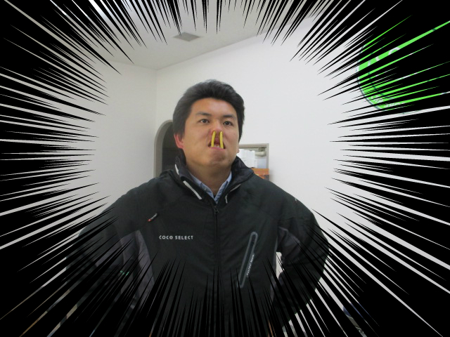 %ef%be%84%ef%be%9e%ef%be%9d