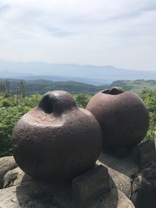 img_2358