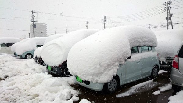 大雪/ココセレクト スタッフブログ