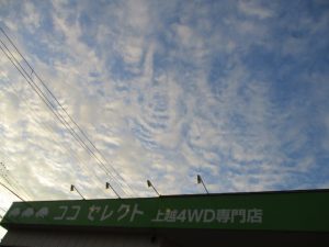 img_8906