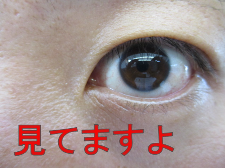 %e3%81%bf%e3%81%a6%e3%81%be%e3%81%99%e3%82%88