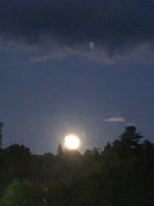 img_3671