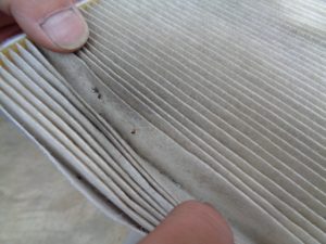 dsc01968