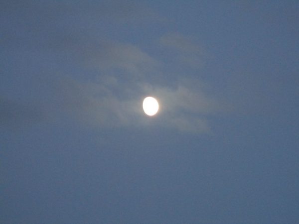 img_4985