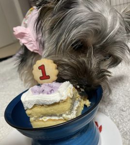 %e3%82%89%e3%82%93hbd%e2%91%a3