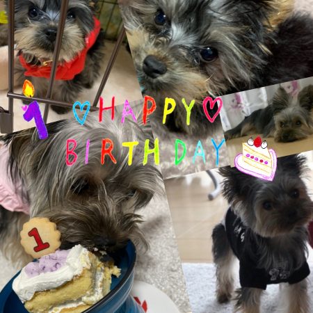 %e3%82%89%e3%82%93hbd%e2%91%a0