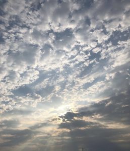 img_4604