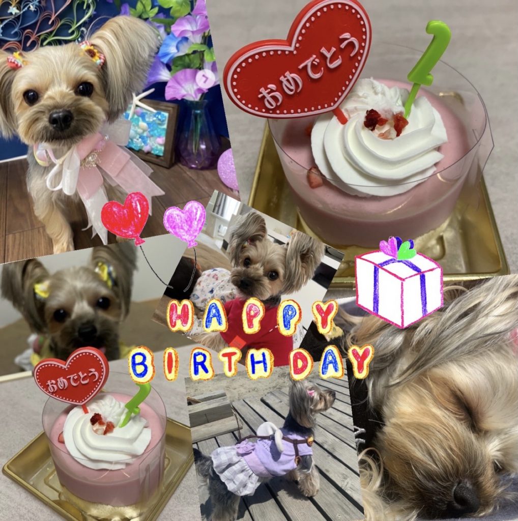 %e3%82%89%e3%82%93hbd%e2%91%aa