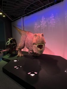 img_4714