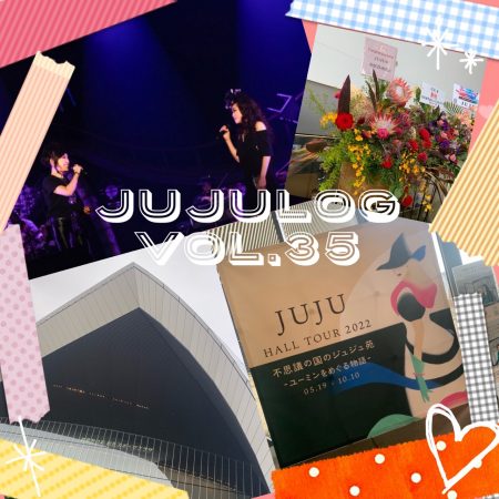 jujulog-35