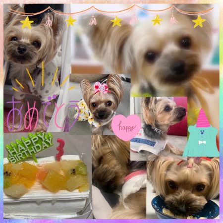 %e3%82%89%e3%82%93hbd%e2%91%ae