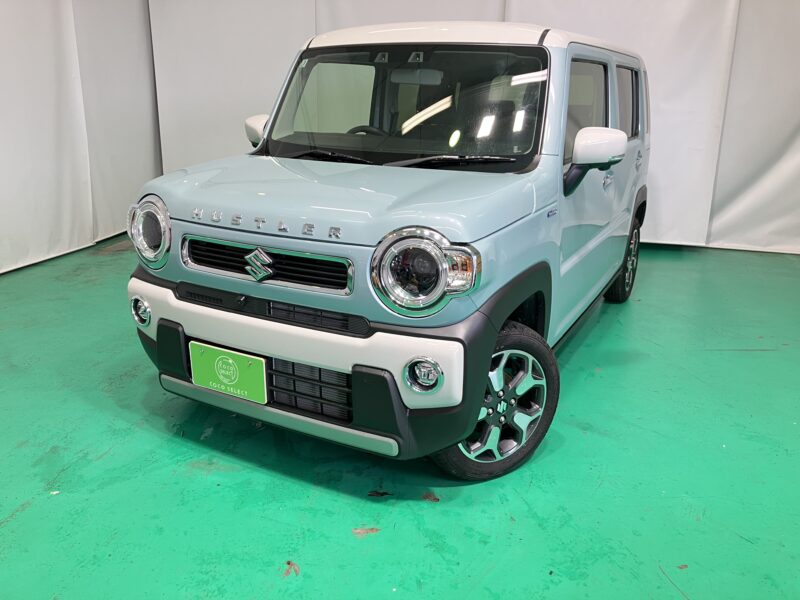 スズキ　ハスラー　HYBRID X HYBRID X 全方位モニター付メモリーナビゲーション・スズキコネクト対応通信機装着車