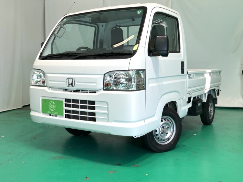 ホンダ　アクティ　SDXガードパイプ付鳥居4WD